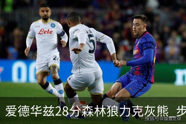 爱德华兹28分森林狼力克灰熊 步行者险胜国王